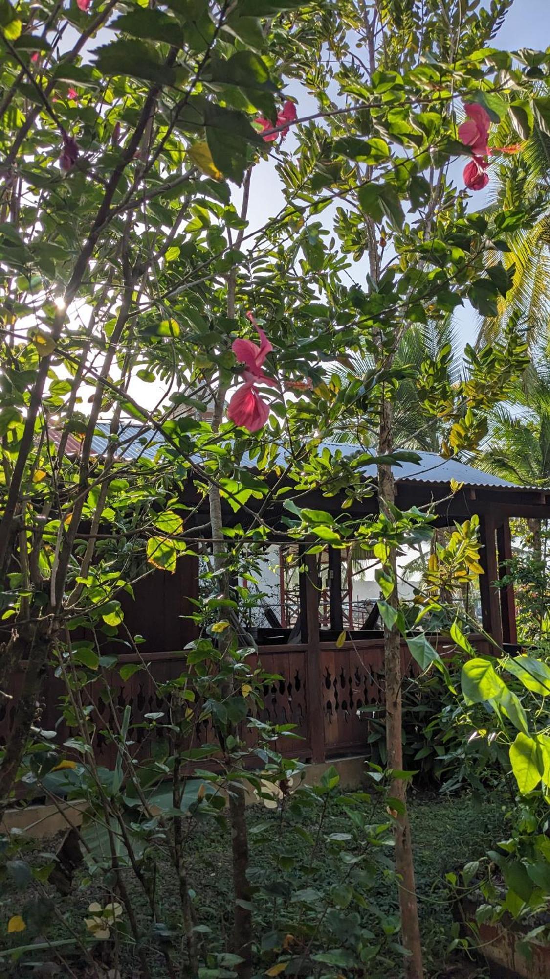 Casas Del Mar Villa Мансанильо Екстериор снимка
